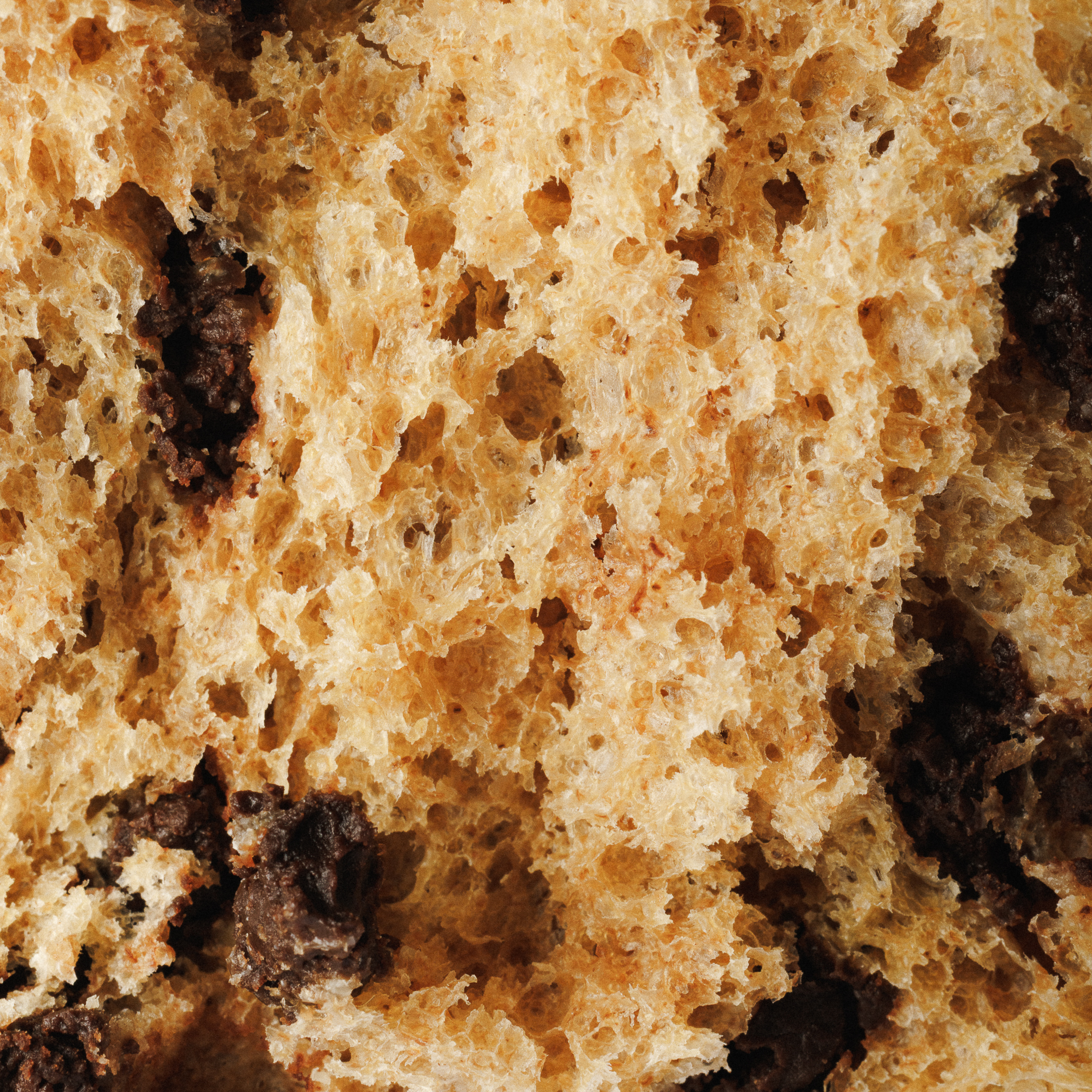 Brioche Bun com Pepitas de Chocolate 2