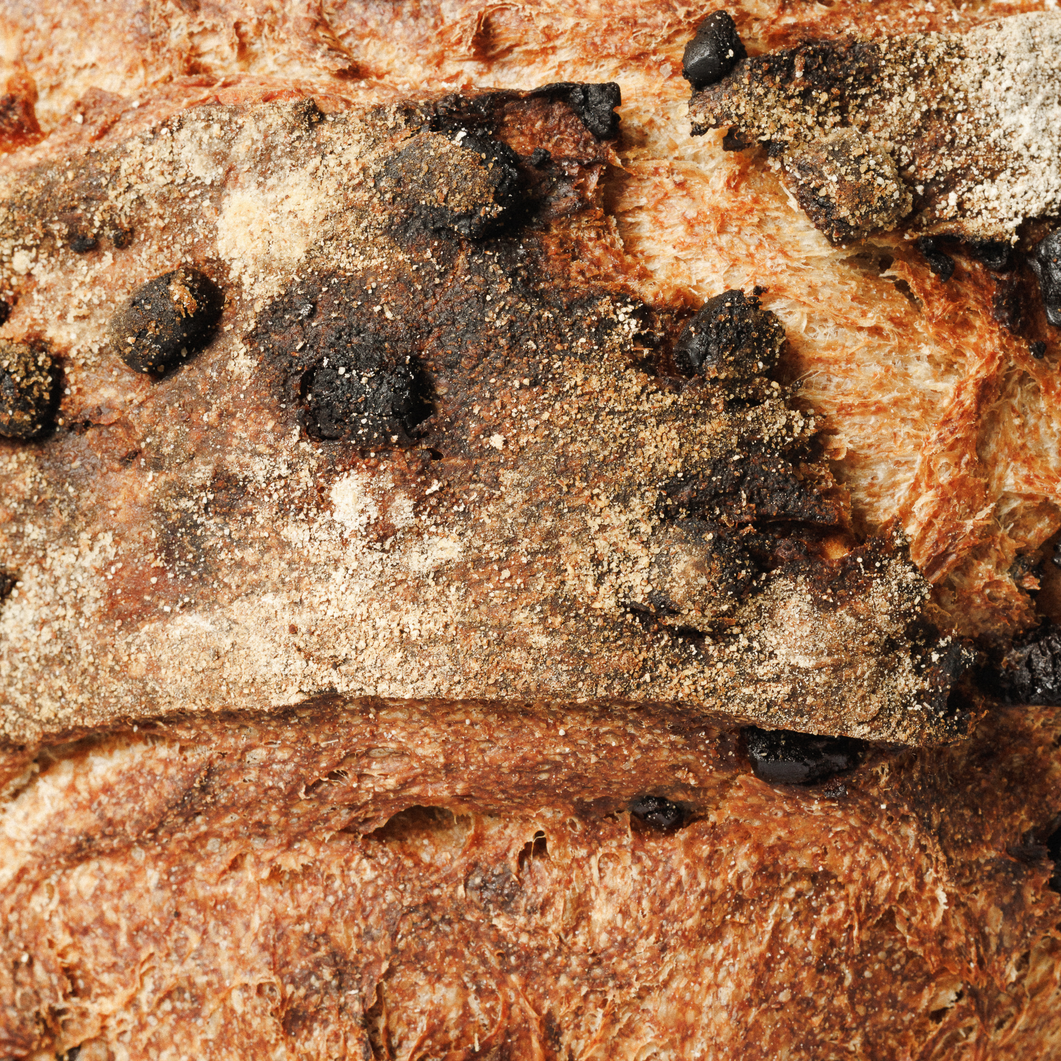 Pão Especial de Chocolate Negro e Laranja 2