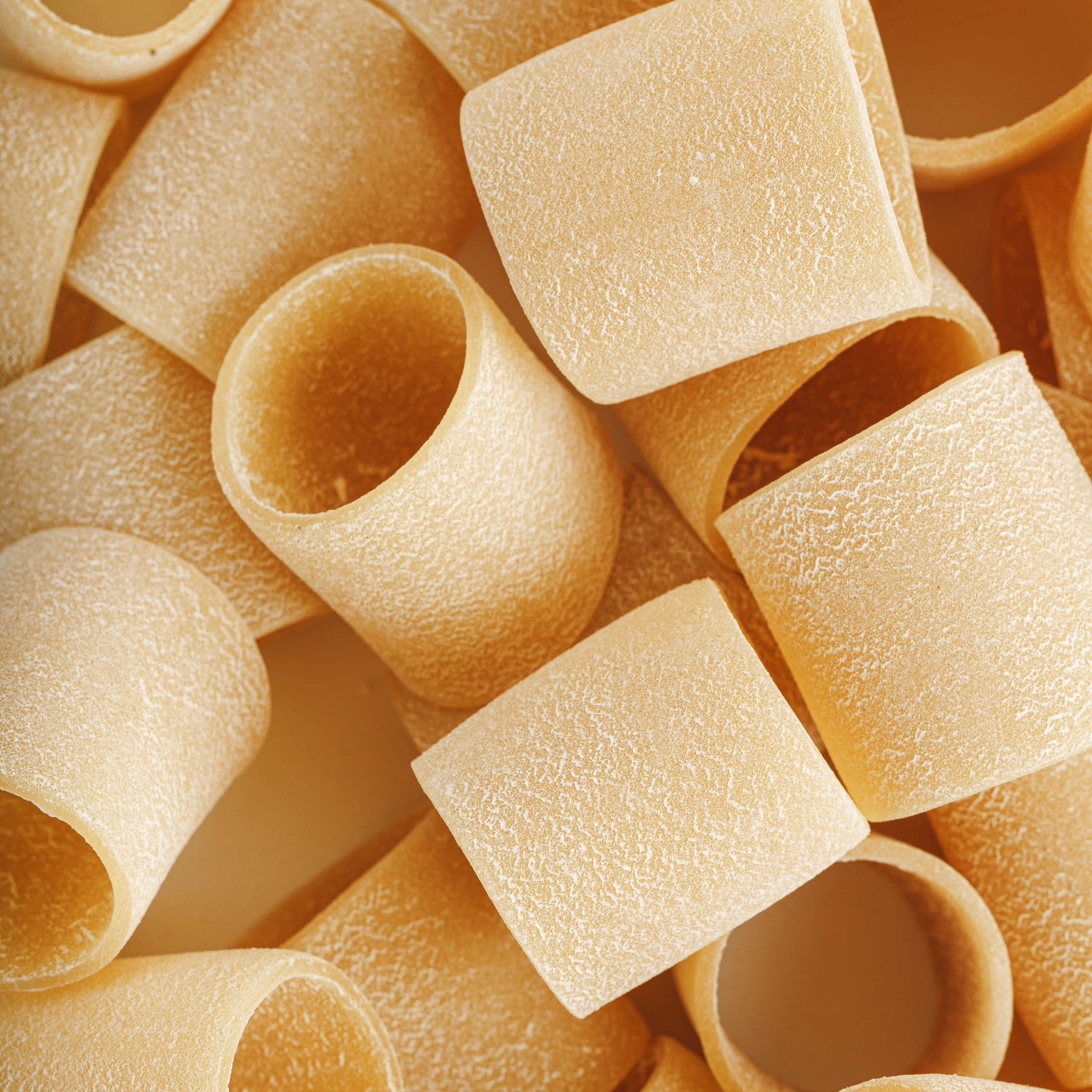Massa Mezzi Paccheri 1