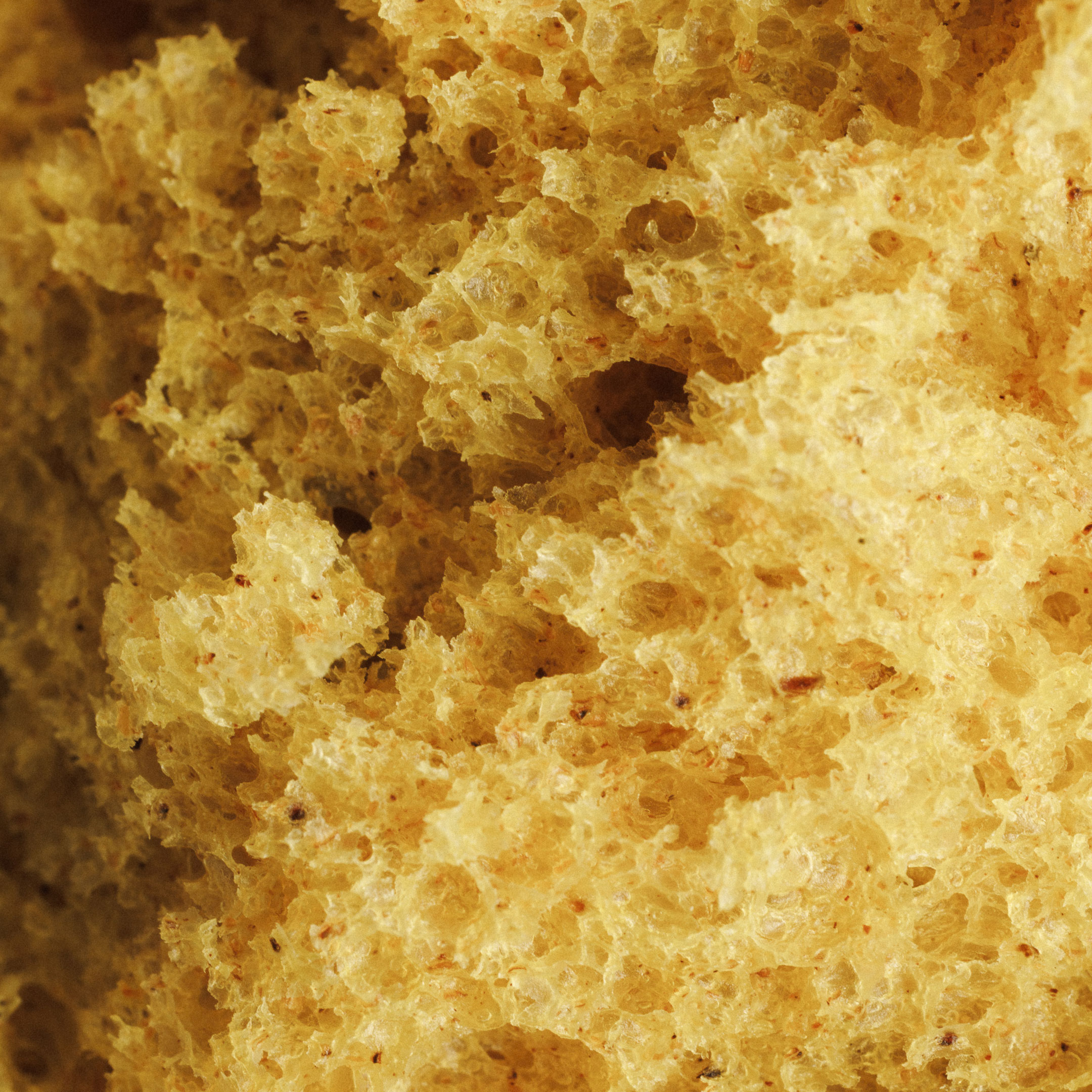 Vegan Bun Golden Milk 1