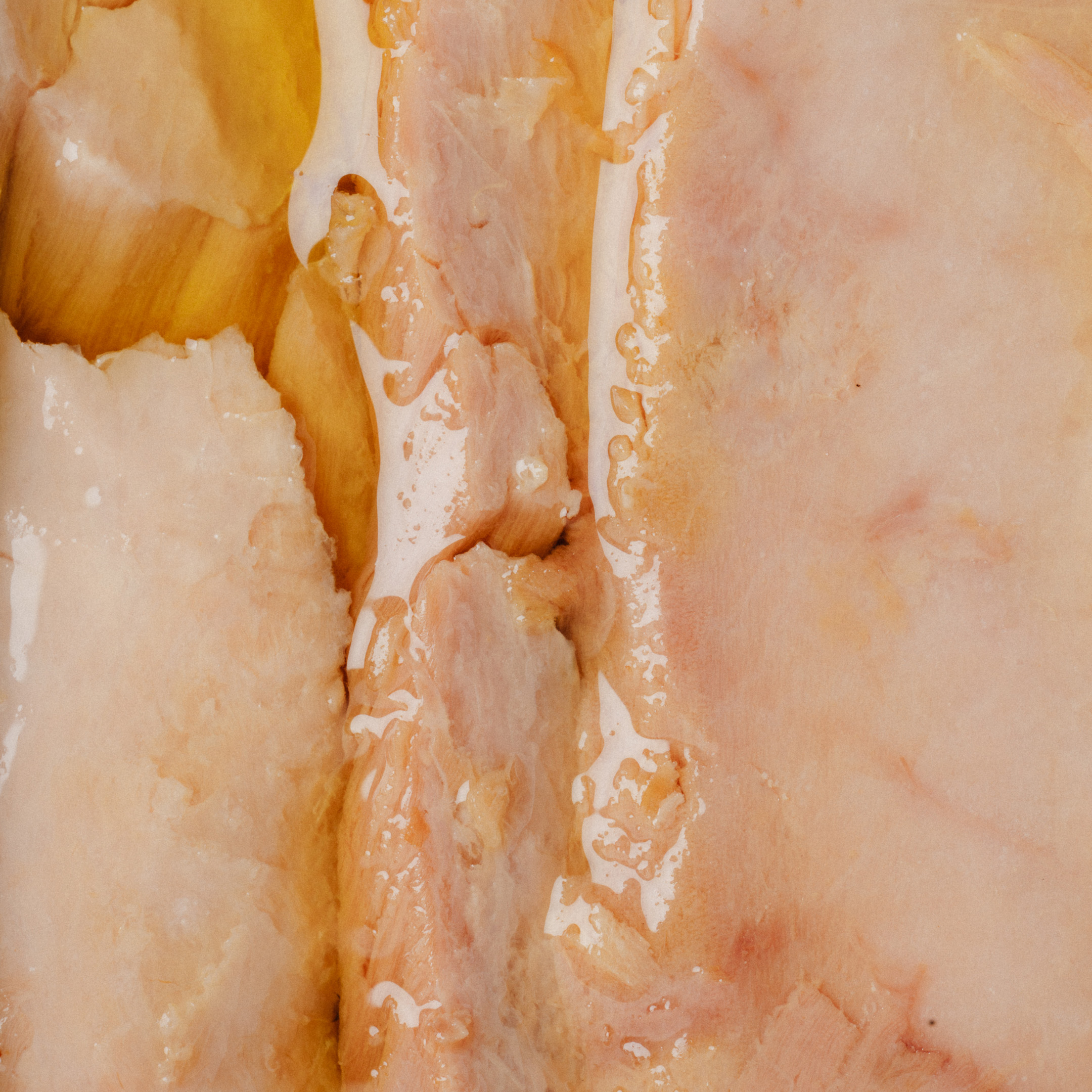 Ventresca de Atum em Azeite 2
