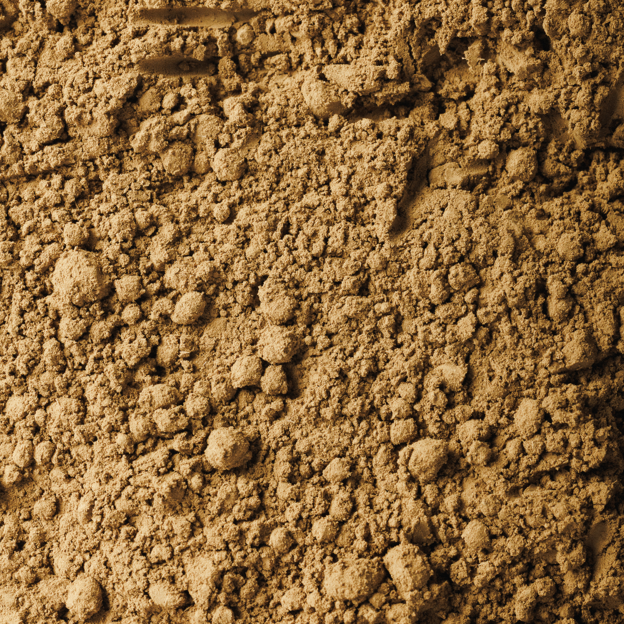 Hojicha Orgânico 1