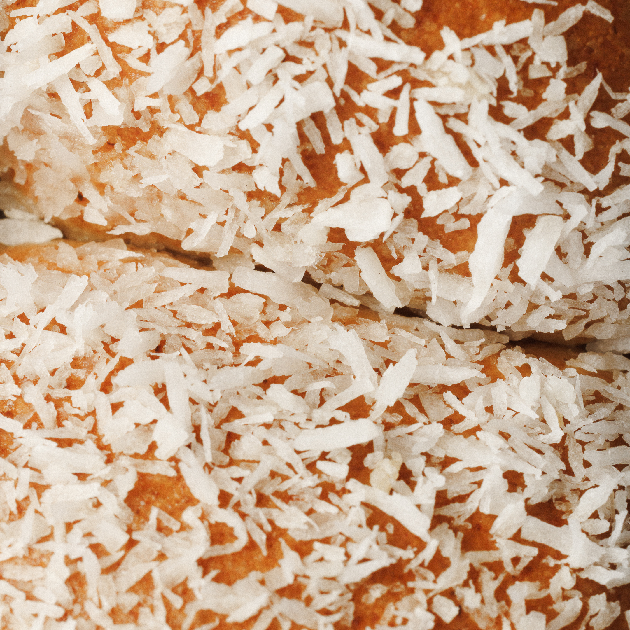 Vegan Bun de Coco 2