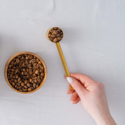 Wanza, Café de Especialidade da Etiópia