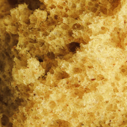 Vegan Bun Golden Milk 1