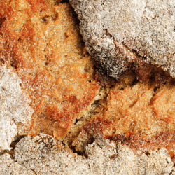 Broa de Milho Amarelo 2