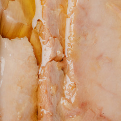 Ventresca de Atum em Azeite 2