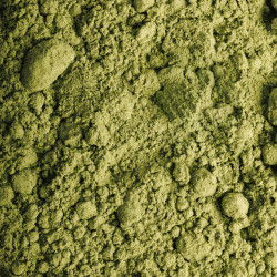 Matcha Premium 1