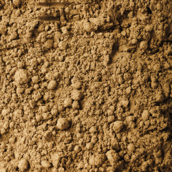 Hojicha Orgânico 1