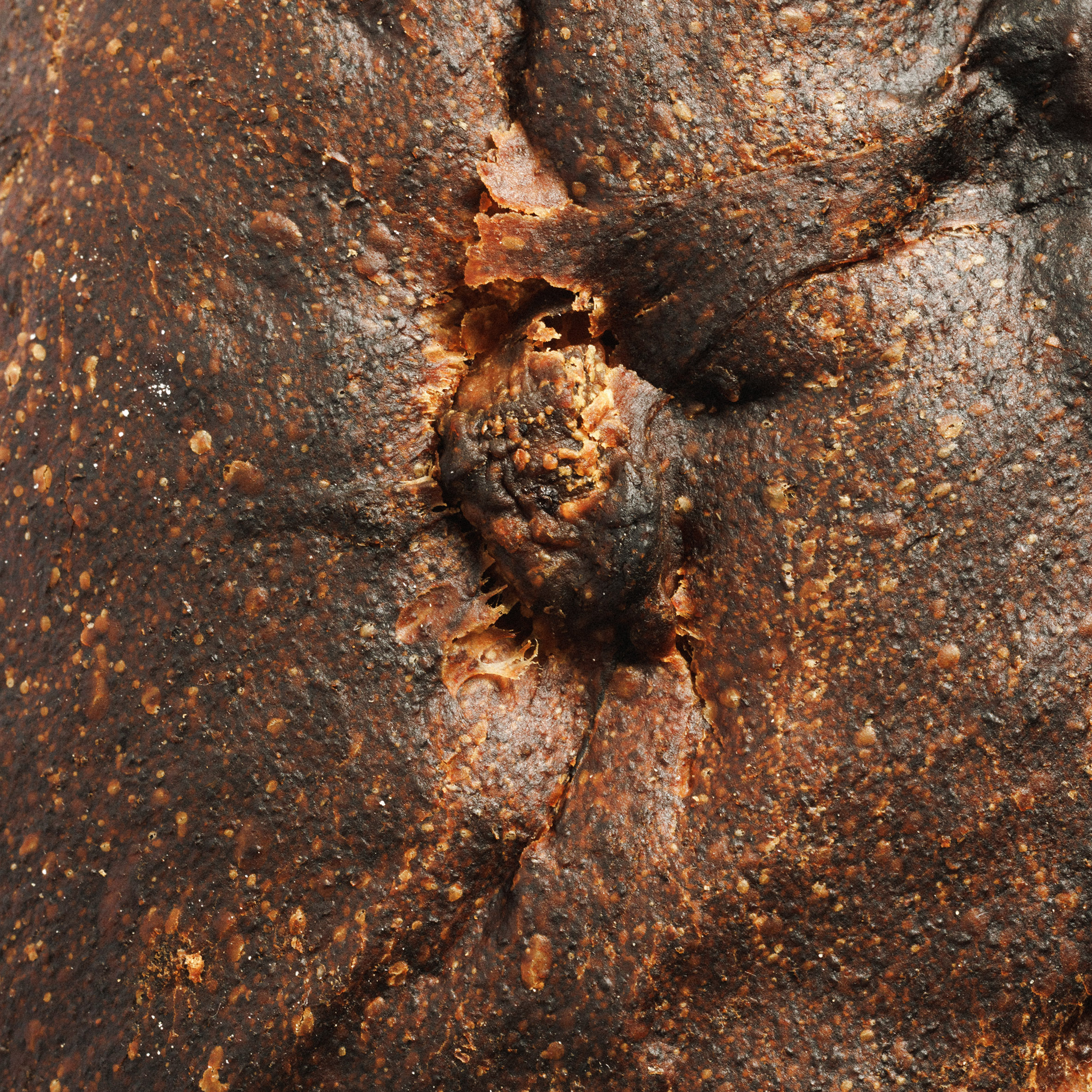 Folar Salgado de Páscoa 1