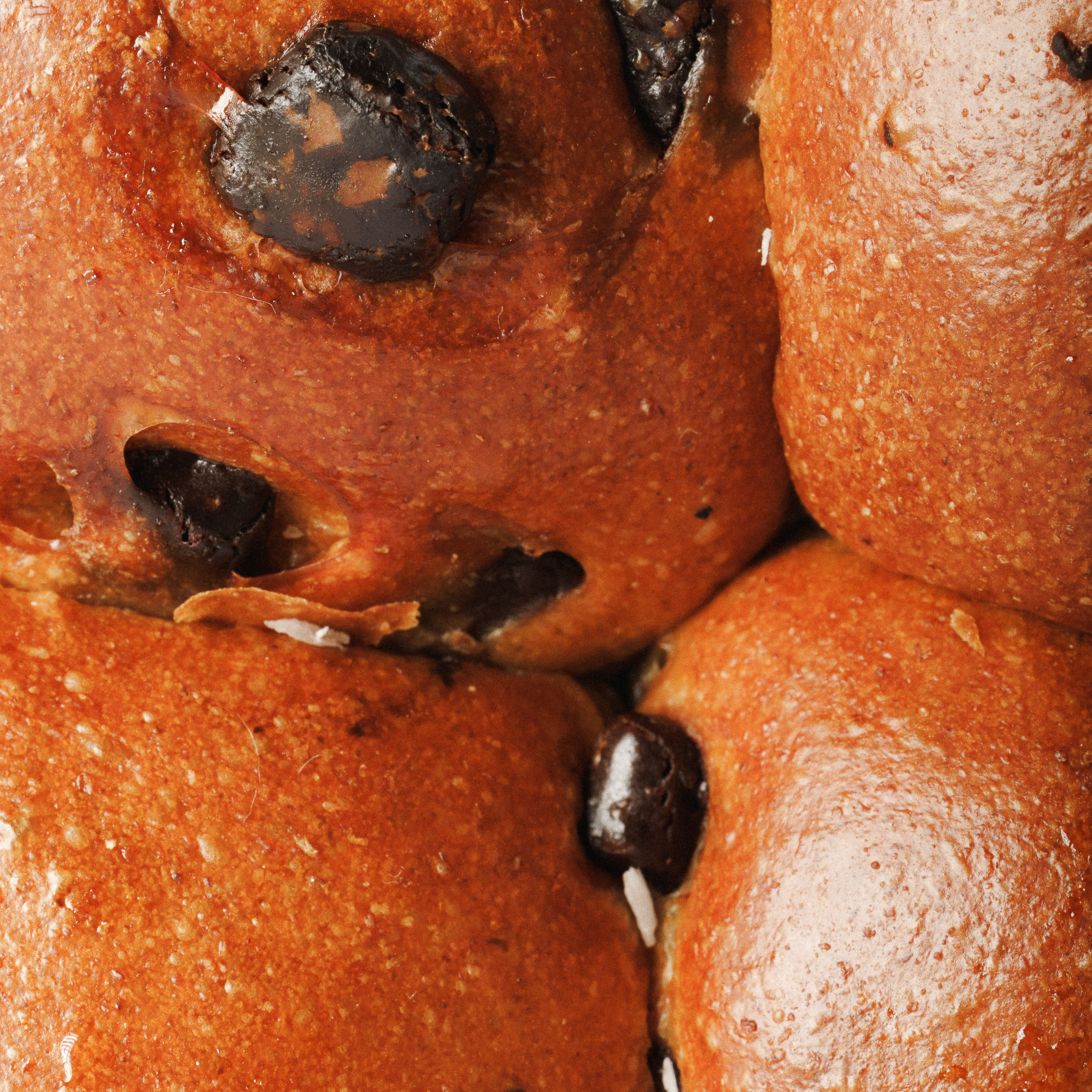 Brioche Bun com Pepitas de Chocolate 3